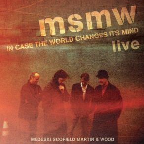 Download track A Go Go Medeski Scofield Martin & Wood