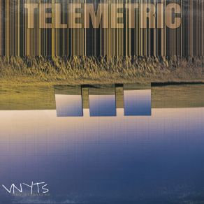 Download track Mr Grits Is Into The Trees The Vignettes