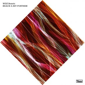 Download track Reach A Bit Further Wild Beasts