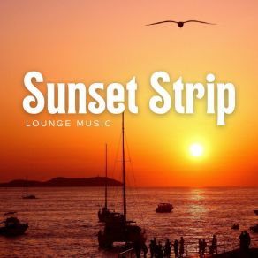 Download track Sublime Synthesis Music Lounge