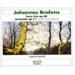 Download track 10. Serenade For Orchestra No. 1, Op. 11 - VI. Rondo. Allegro. Ape Johannes Brahms