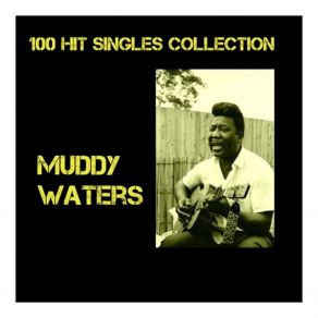 Download track I Be's Troubled Muddy Waters