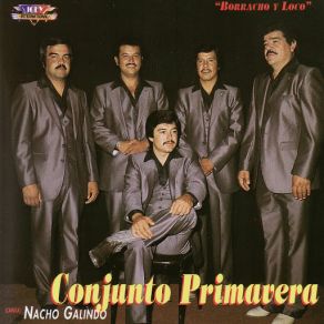 Download track No Supo Comprenderme Conjunto Primavera