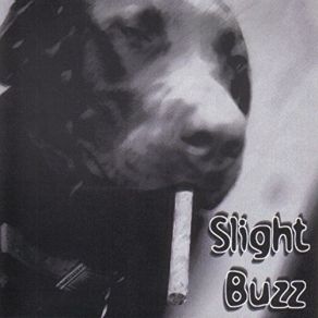 Download track Shade Tree Slight Buzz
