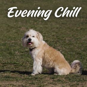 Download track Life Lesson The Relaxing Booth