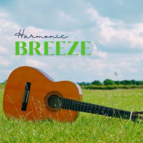Download track Relaxed Reflections Smooth Guitar Zone