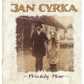 Download track This Land Jan Cyrka
