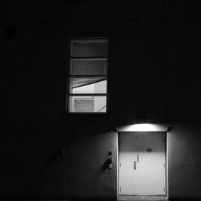 Download track Spinout SHIB Vitalik