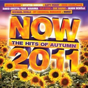 Download track Who'S That Chick David Guetta, Rihanna