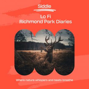 Download track Mysterious Full Moon By Petersham Siddle