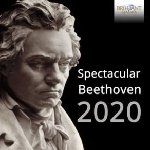 Download track String Quartet No. 8 In E Minor, Op. 59 No. 2: III. Allegretto Suske Quartet