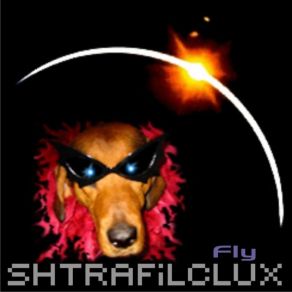 Download track Fly Shtrafilclux