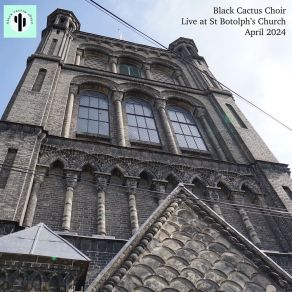 Download track Build Me Up Buttercup - The Foundations (Live) Black Cactus Choir