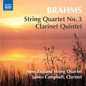 Download track Clarinet Quintet In B Minor, Op. 115: I. Allegro James Campbell, New Zealand String Quartet