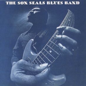 Download track Now That I'M Down The Son Seals Blues Band