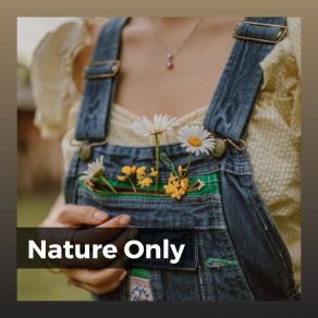 Download track Cannot Keep Spring From Coming Nature Ambience