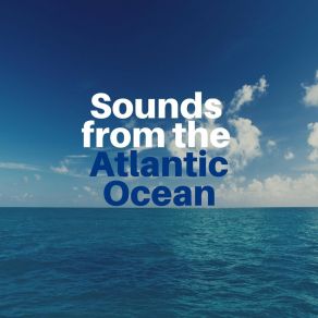 Download track Relaxing Ocean Sounds, Pt. 8 Ocean Therapy