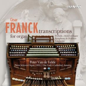 Download track Symphony In D Minor I. Lento - Allegro Ma Non Troppo Peter Van De Velde
