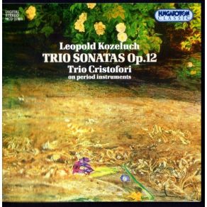 Download track 4. Sonata In A Major Op. 12 No 2-I. Allegro Leopold Koželuh