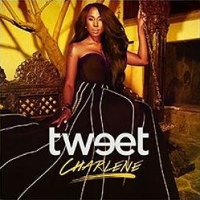 Download track Somebody Else Will TweetMissy Elliott
