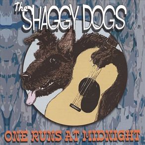Download track Still A Fool Shaggy Dogs