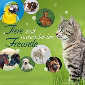 Download track Schnappi, Das Kleine Krokodil Die Edlseer