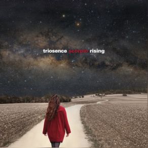 Download track Going In Circles Triosence