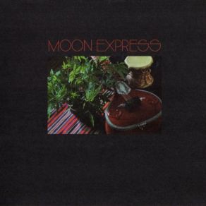 Download track Wilderness, Ocean, And Space Moon Express