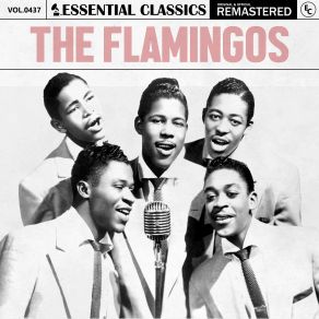 Download track I Was Such A Fool The Flamingos