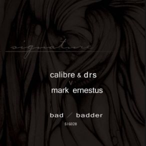 Download track Bad Calibre