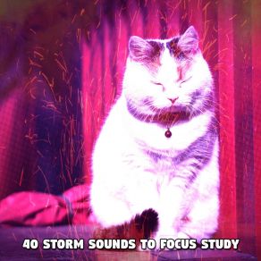 Download track Heavy Rain Rain Sounds