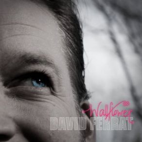 Download track The Next Time I'm In Town David Ferrat