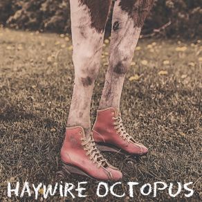 Download track Drive Off Haywire Octopus