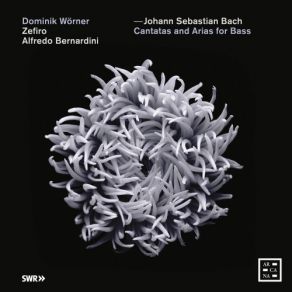 Download track 08 - II. Aria Con Corale -Welt, Ade, Ich Bin Dein Müde- Johann Sebastian Bach