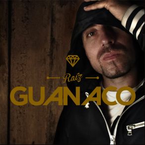 Download track Mi Realidad GuanacoSpiritual Lyric Sound