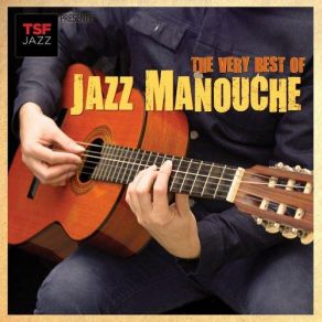 Download track Django's Tiger Django Reinhardt, Quintette Du Hot Club De France