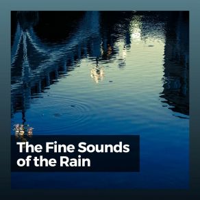 Download track Essentials Rain For Deep Sleep