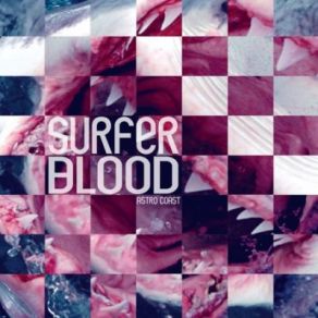 Download track I'M Not Ready Surfer Blood