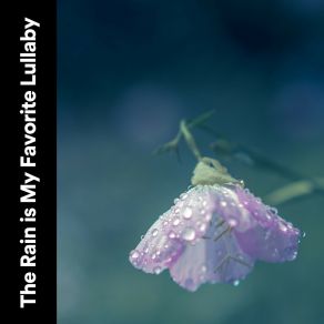 Download track Raining Weather Recording Nature
