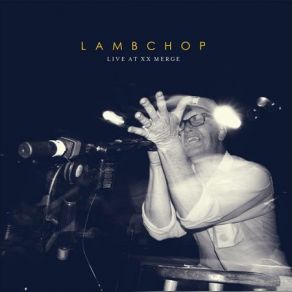 Download track What Else Could It Be Lambchop