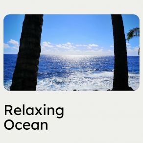 Download track Probative Ocean Relaxing Ocean Sounds