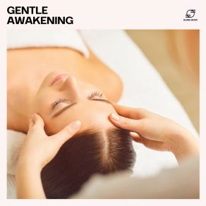 Download track Gentle Reflections Calm Massage Sounds