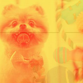 Download track Stellar Moods For Sleepy Pups Music For Dogs Playlist