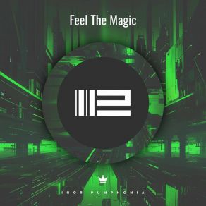 Download track Feel The Magic Igor Pumphonia
