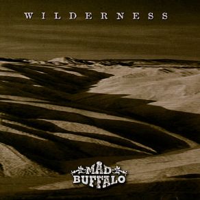 Download track Let's Get On With It Mad BuffaloMarty Grebb, Mickey Raphael, James Pennebaker, Randy Riviere, Jim Christie