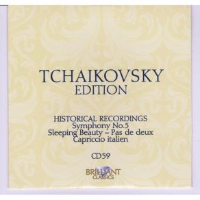 Download track Symphony No. 5 In E Minor, Op. 64 - IV. Finale. Andante Maestoso; Allegro Vivace; Molto Vivace; Moderato Assai Piotr Illitch Tchaïkovsky