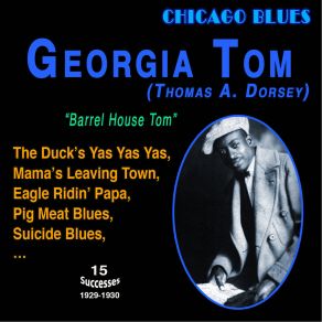 Download track You Got Me In This Mess (I Ain't Gonna Do It No More) Georgia Tom