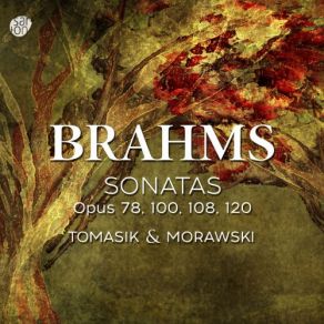 Download track Clarinet Sonata In F Minor, Op. 120 No. 1 (Version For Violin & Piano): I. Allegro Appassionato - Sostenuto Ed Espressivo Robert Morawski, Sławomir Tomasik