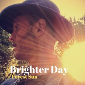 Download track If Our Time Is Over Forest Sun