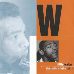 Download track Tonight With A Fool Little Walter